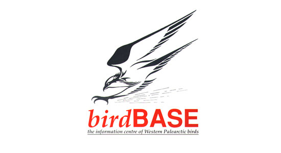 birdBASE